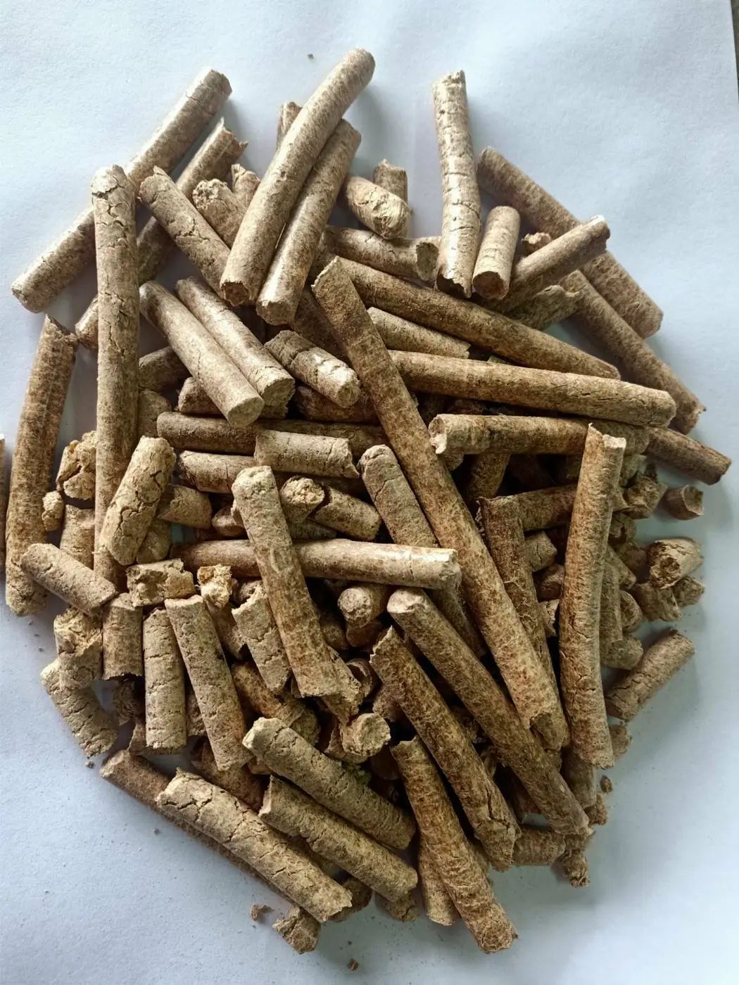 ชีวมวลอัดเม็ด (Biomass Pellets)